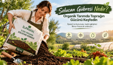 Solucan Gübresi Nedir? Faydaları ve Kullanımı | İlpasol
